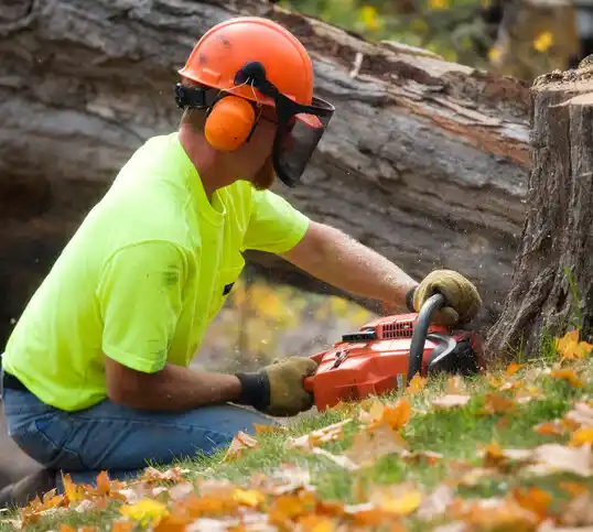 tree services Coolville